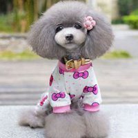 棕色泰迪狗狗头像