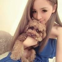 在床上泰迪狗头像