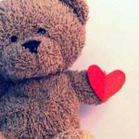 泰迪狗头像简笔