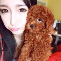 泰迪狗头像情头