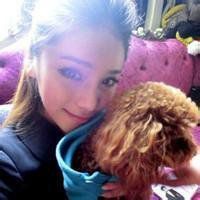 超萌泰迪狗狗头像