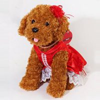 泰迪狗头像贴吧