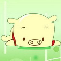 超萌泰迪狗狗头像