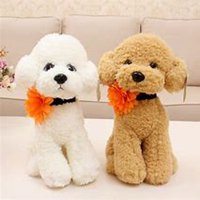 泰迪狗头像情头