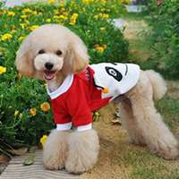 在床上泰迪狗头像