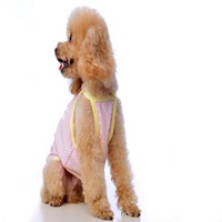 泰迪小狗狗头像