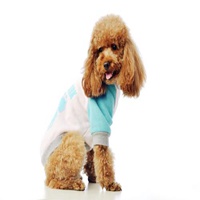 在床上泰迪狗头像