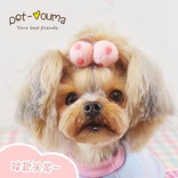 女生抱泰迪狗头像