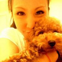 可爱小狗头像要泰迪