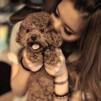 泰迪熊骑狗头像