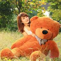 泰迪狗头像超清