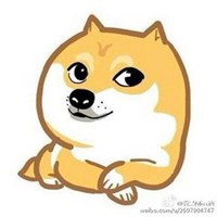 秋田犬小狗头像