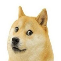 秋田犬小狗头像