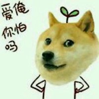 动漫秋田犬可爱头像