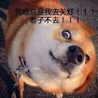 逗比呆狗狗头像秋田犬