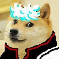 逗比秋田犬狗狗头像