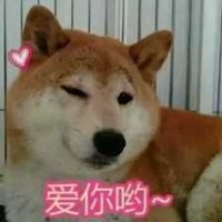 秋田狗头像搞笑