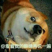 55开黑节秋田狗头像