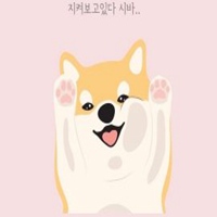 秋田狗头头像高清