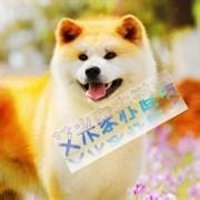 秋田犬小狗头像