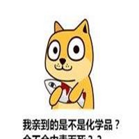 秋田犬小狗头像