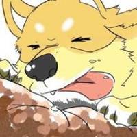 红脸蛋秋田狗头像