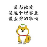 秋田狗头像搞笑