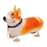 秋田狗头像高清