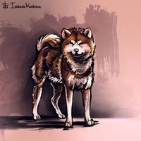 秋田狗头像搞笑