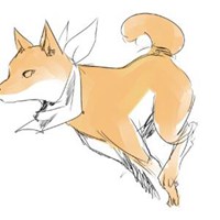 55开黑节秋田狗头像