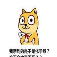 秋田狗头像高清