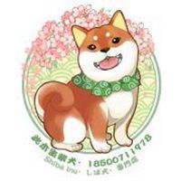 逗比呆狗狗头像秋田犬