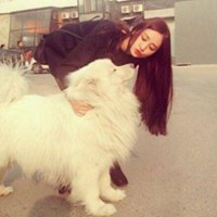 可爱狗头像漫画可爱