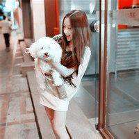 可爱狗狗头像个性签名