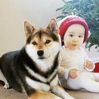 可爱狗头像漫画