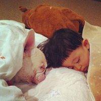 可爱狗头像漫画