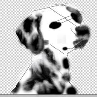 可爱狗狗头像个性签名