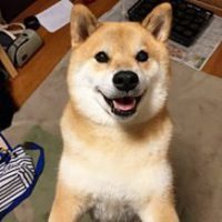 可爱狗狗头像二次元