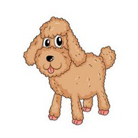 可爱狗头像中华田园犬