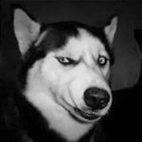 可爱狗头像中华田园犬