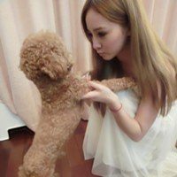 动漫可爱狗头像可爱