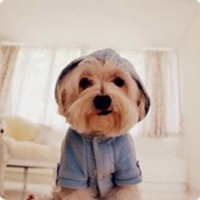 微信可爱狗狗头像一对