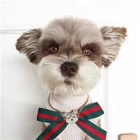 可爱狗头像高清