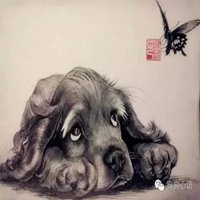 可爱狗狗头像个性网