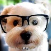 可爱狗狗头像二次元