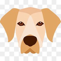 可爱狗狗头像+微信