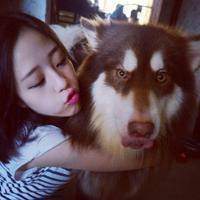 可爱狗头像一左一右