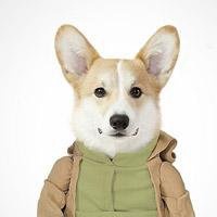 可爱狗狗头像高清