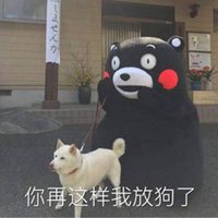 可爱狗狗头像图