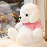 可爱狗头像中华田园犬